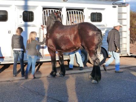 February 2013 Wickenburg Gold Rush Days Parade Photos