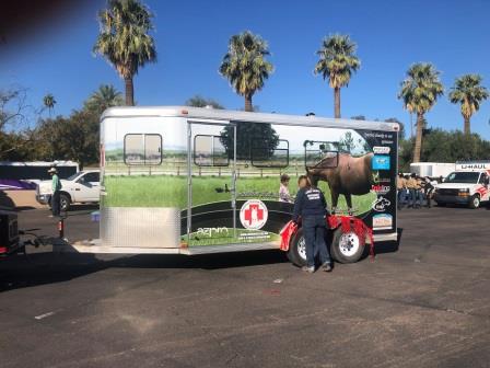 2021 Phoenix Veterans Day Photos