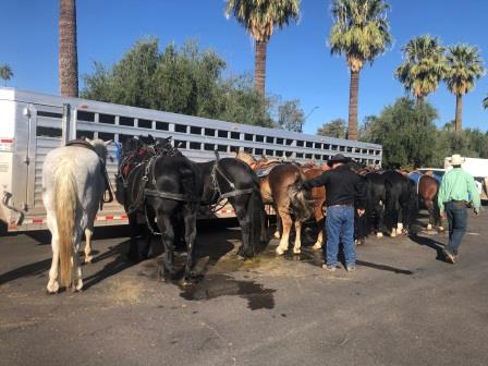 2021 Phoenix Veterans Day Photos