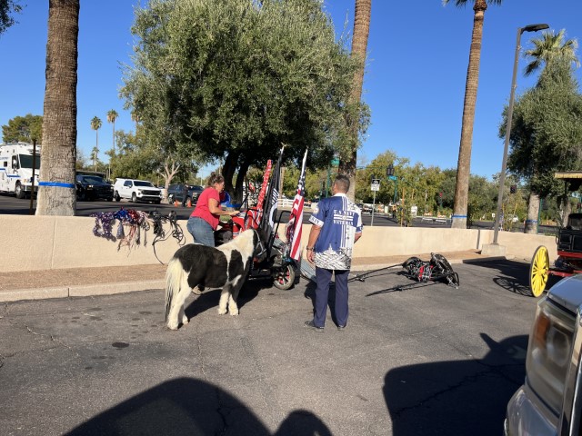 2024 Phoenix Veterans Day Photos